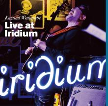 Kazumi Watanabe: Live at Iridium