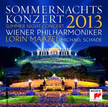 Wiener Philharmoniker: Sommernachtskonzert 2013 / Summer Night Concert 2013