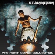 Stammreim: The Remix Cover Collection