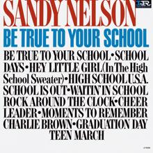 Sandy Nelson: Be True To Your School