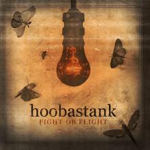 Hoobastank: The Fallen
