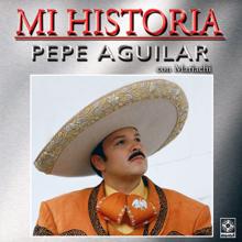 Pepe Aguilar: Algo De Mi