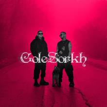 Outlaw: Gole Sorkh (Remix)