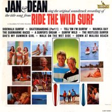 Jan & Dean: Ride The Wild Surf