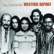 Weather Report: The Essential Weather Report