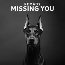 Remady: Missing You