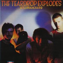 The Teardrop Explodes: Kilimanjaro