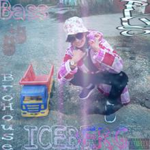 Bass: Iceberg