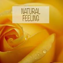 Nature Sounds: Natural Feeling