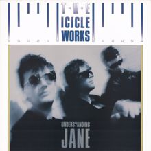 The Icicle Works: Into the Mystic
