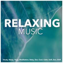 Various Artists: Relaxing Music, Study, Sleep, Yoga, Meditation, Baby, Zen, Cool, Calm, Soft, Zen, Chill