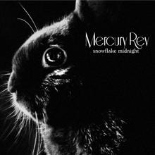 Mercury Rev: A Squirrel And I (Holding On... And Then Letting Go)