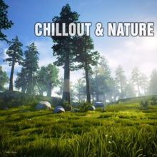 Various Artists: Chillout & Nature