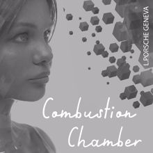 L.porsche: Combustion Chamber