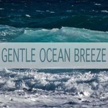 Ocean Sounds: Gentle Ocean Breeze