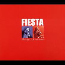 FiESTA: Mindig Csak Vártalak (Reggaeton Mix)