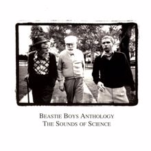 Beastie Boys: Dub The Mic