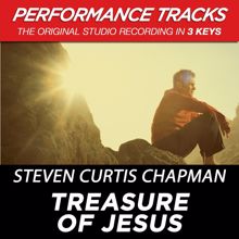 Steven Curtis Chapman: Treasure Of Jesus (Performance Tracks)