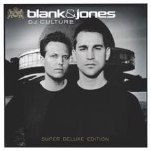 Blank & Jones: Waste Your Youth