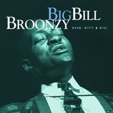 Big Bill Broonzy: Too Many Drivers (Album Version)