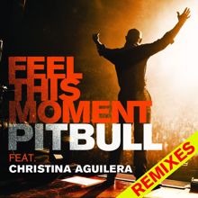 Pitbull feat. Christina Aguilera: Feel This Moment Remixes