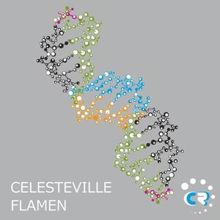 Flamen: Celesteville