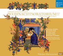 Nikolaus Harnoncourt: Part I: For the First Day of Christmas: 3. Recitativo (Alt): Nun wird mein liebster Bräutigam