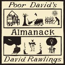 David Rawlings: Money Is The Meat In The Coconut