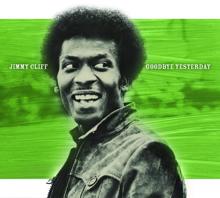 Jimmy Cliff: Synthetic World