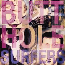 Butthole Surfers: Bong Song