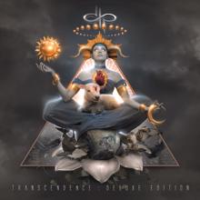 Devin Townsend Project: Offer Your Light