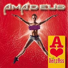 Amadeus: Herz Ass