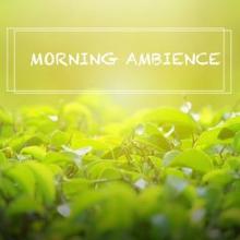 Nature Sounds: Morning Ambience