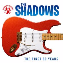 The Shadows: Theme For Young Lovers (1989 Version)