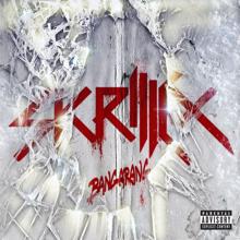 Skrillex, 12th Planet, Kill The Noise: Right on Time