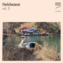 Various Artists: Fieldwave, Vol. 2