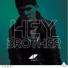 Avicii: Hey Brother (Extended Version)