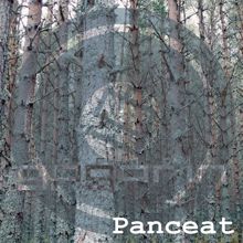 Gagarin: Panceat Remixes