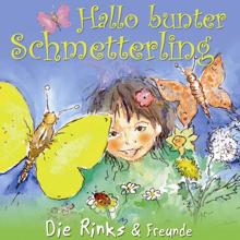 Die Rinks: Hallo bunter Schmetterling