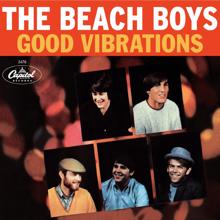 The Beach Boys: Good Vibrations 40th Anniversary