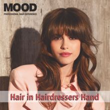 Ivan Herb: Hair in Hairdressers Hand