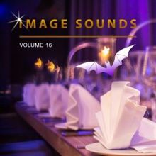 Image Sounds: Image Sounds, Vol. 16