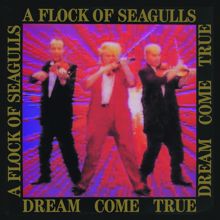 A Flock Of Seagulls: Who's That Girl (She's Got It)