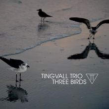 Tingvall Trio: Humming Bird (Rhodes Version)