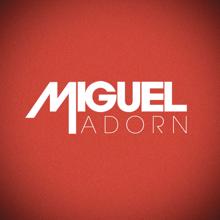 Miguel: Adorn