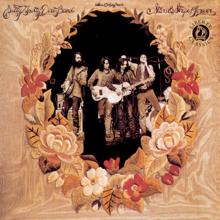 Nitty Gritty Dirt Band: Stars And Stripes Forever
