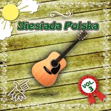 Various Artists: Biesiada, Vol. 3