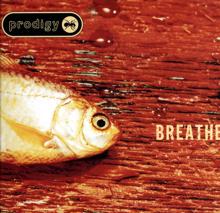The Prodigy: Breathe (Edit)