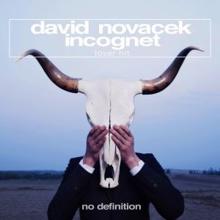 David Novacek & Incognet: Loser Hit