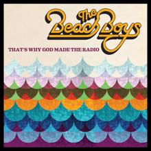 The Beach Boys: Isn't It Time